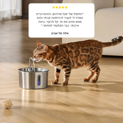 קיטי סטיל - לשמור על החתול שלך מפני זיהומי דרכי שתן, אבנים בכליות ומחלות כליה