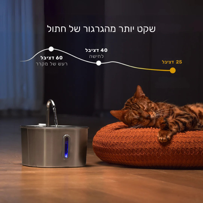 קיטי סטיל - לשמור על החתול שלך מפני זיהומי דרכי שתן, אבנים בכליות ומחלות כליה