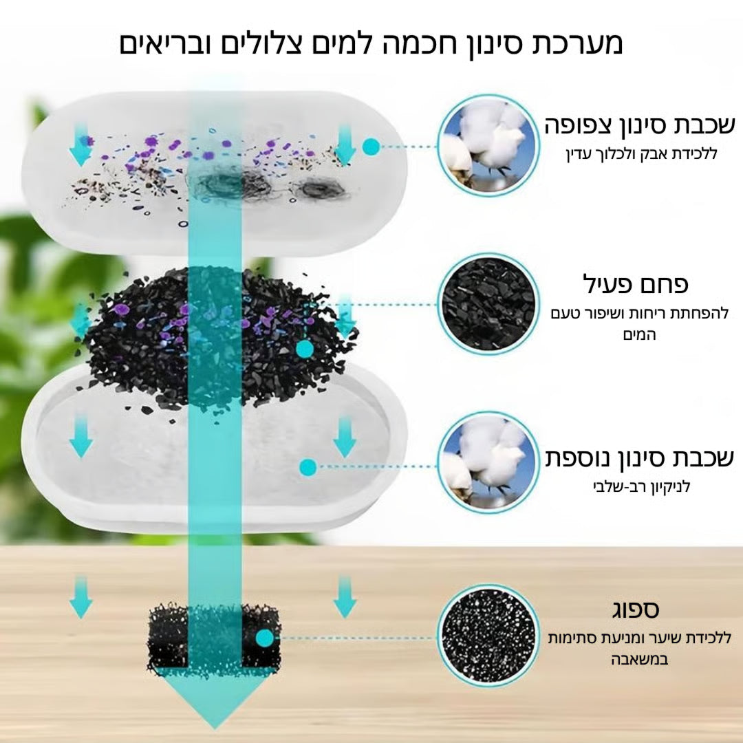 קיטי סטיל - לשמור על החתול שלך מפני זיהומי דרכי שתן, אבנים בכליות ומחלות כליה