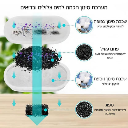 קיטי סטיל - לשמור על החתול שלך מפני זיהומי דרכי שתן, אבנים בכליות ומחלות כליה