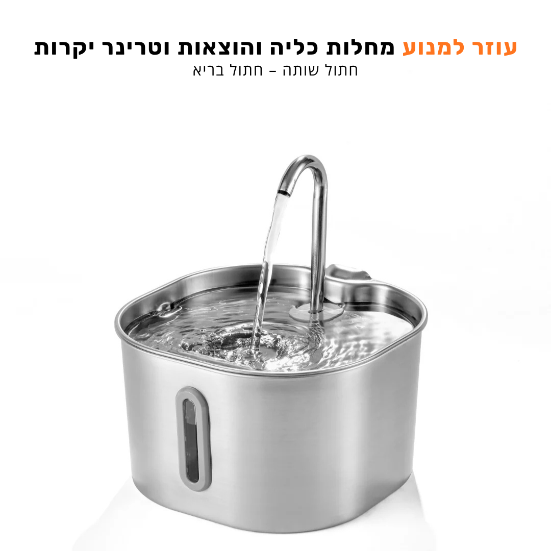 קיטי סטיל - לשמור על החתול שלך מפני זיהומי דרכי שתן, אבנים בכליות ומחלות כליה