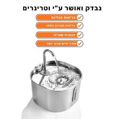 קיטי סטיל - לשמור על החתול שלך מפני זיהומי דרכי שתן, אבנים בכליות ומחלות כליה