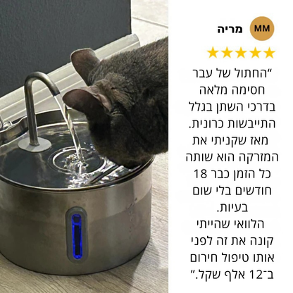 קיטי סטיל - לשמור על החתול שלך מפני זיהומי דרכי שתן, אבנים בכליות ומחלות כליה